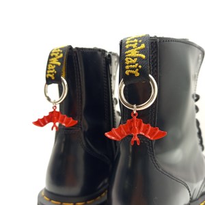 Bijoux pour chaussures